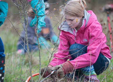 A young female volunteer uses a handsaw to help clear scrub