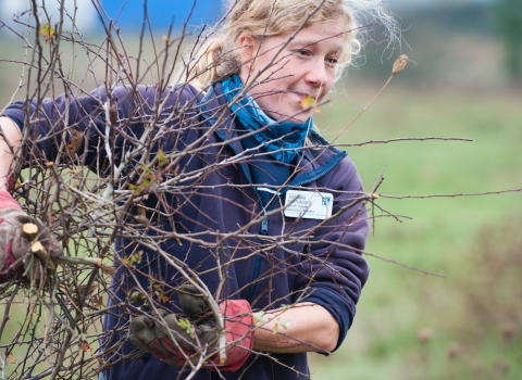 Woman clearing scrub