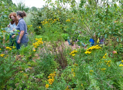 People enjoying wildlife garden