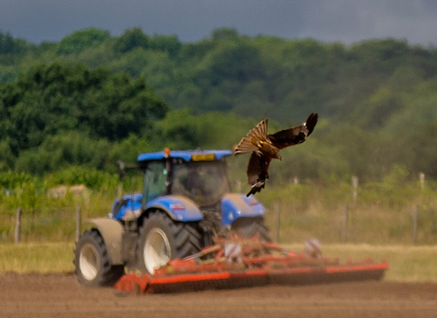 farming