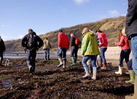 People taking part in a coastal foraging walk on the seashore