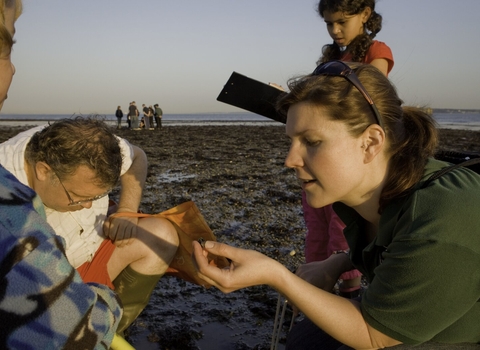 Citizen science shoresearch survey