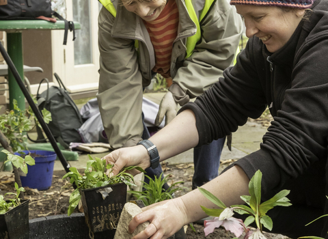 People gardening together