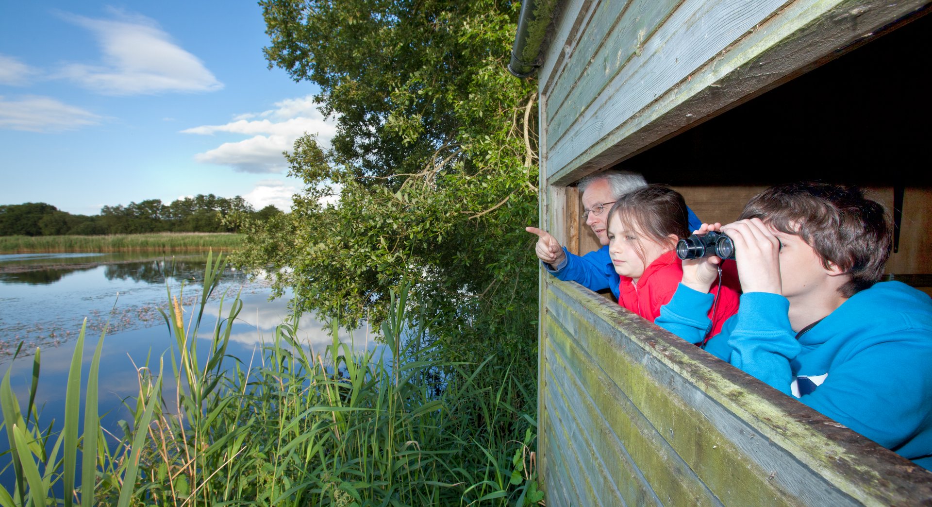Family birdwatching at Westhay